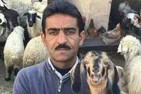 (ویدئو) چطور امپراطوری ام را در کرونا نجات دادم !