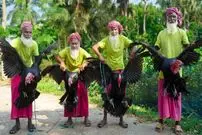 ببینید| غذای روستایی در هند؛ پخت خوراک بوقلمون و سیر توسط 4 پدربزرگ روستایی