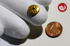 جویندۀ آماتور توانست «قدیمی‌ترین سکۀ طلا» در شرق آلمان را پیدا کند