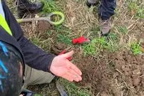 کشف سکّه‌هایی که 1100 سال قبل از ترس حملۀ وایکینگ‌ها دفن شده بودند