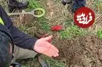 کشف سکّه‌هایی که 1100 سال قبل از ترس حملۀ وایکینگ‌ها دفن شده بودند