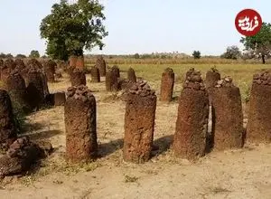 عکس؛ حلقه‌های سنگی سنگامبیا؛ رازآلودترین و بزرگترین مجموعه مگالیتیک زمین