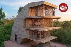 ببینید| ساخت یک ویلای 3 طبقه با چوب در جنگل های کامبوج