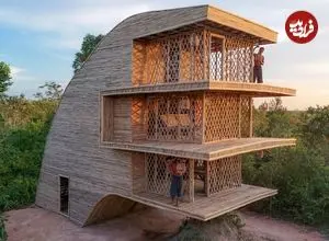 ببینید| ساخت یک ویلای 3 طبقه با چوب در جنگل های کامبوج
