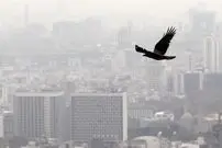متوسط قیمت مسکن تهران اعلام شد/ خریداران از بازار فرار کردند