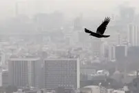 متوسط قیمت مسکن تهران اعلام شد/ خریداران از بازار فرار کردند