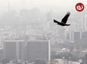 متوسط قیمت مسکن تهران اعلام شد/ خریداران از بازار فرار کردند