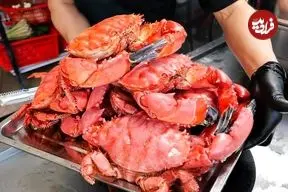 ببینید| غذای خیابانی در ویتنام؛ پخت غذا با برنج و خرچنگ ملکه قرمز در هانوی