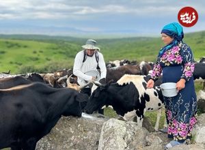 ببینید؛ غذای روستایی در ایران؛ پخت نان تنوری و سیب زمینی در کوهستان