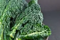 خوراکی‌هایی که می‌توانند «کلسیم» مورد نیاز بدن را تامین کنند