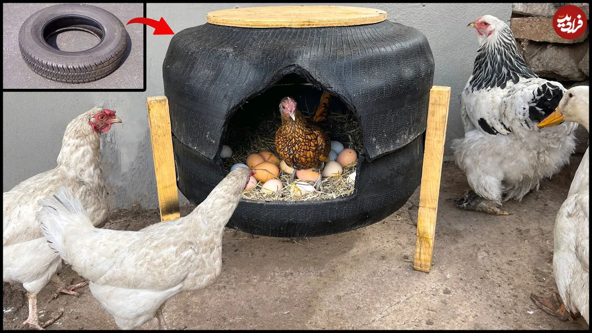 (ویدئو) نحوه ساخت هوشمندانه یک لانه مرغ با لاستیک ماشین در خانه! 