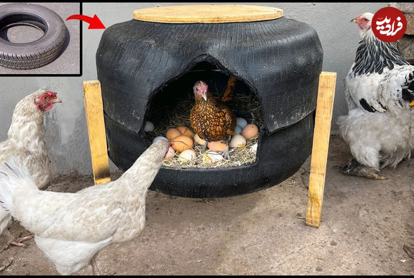 (ویدئو) نحوه ساخت هوشمندانه یک لانه مرغ با لاستیک ماشین در خانه! 