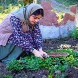 ببینید| غذای روستایی در ایران؛ پخت خورشت کدو حلوایی با رب انار و سبزیجات محلی در طبیعت