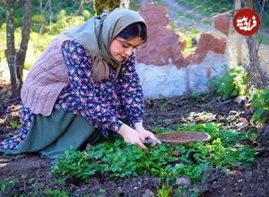 ببینید| غذای روستایی در ایران؛ پخت خورشت کدو حلوایی با رب انار و سبزیجات محلی در طبیعت