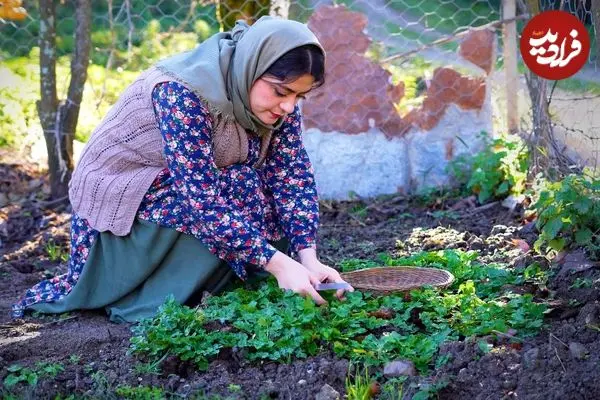 ببینید| غذای روستایی در ایران؛ پخت خورشت کدو حلوایی با رب انار و سبزیجات محلی در طبیعت