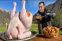 ببینید| غذای روستایی در آذربایجان؛ کباب کردن بوقلمون شکم پر در کوهستان