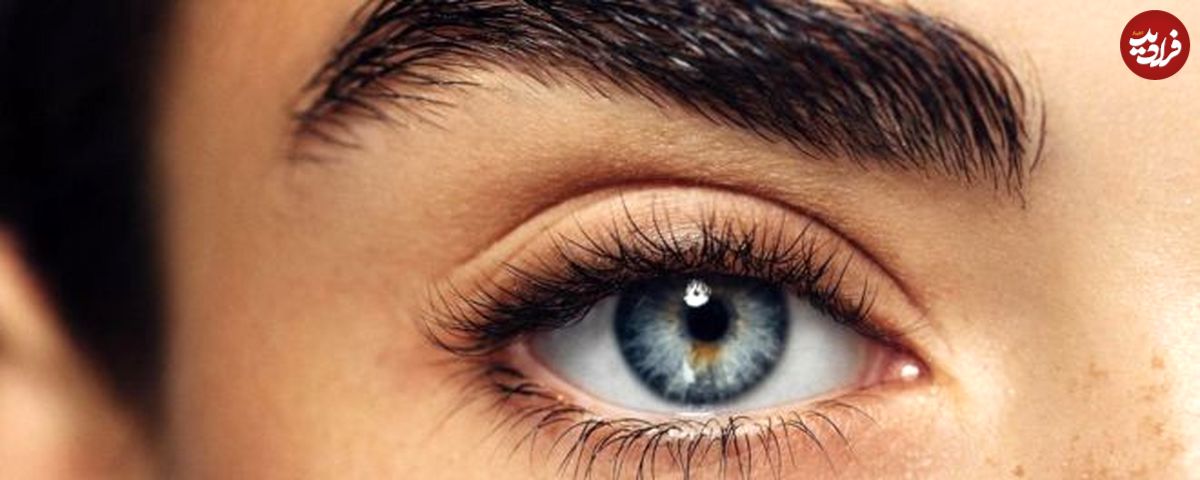 وقتی چشم در چشم میشویم چه اتفاقی میافتد؟