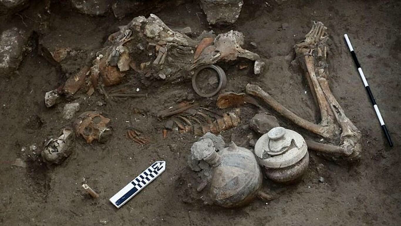 کشف شواهد انجام جراحی مغز در مقبره باستانی متعلق به ۳۵۰۰ سال پیش
