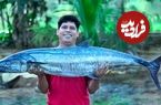 ببینید؛ غذای روستایی در هند؛ کباب کردن ماهی بزرگ 17 کیلوگرمی در برگ موز