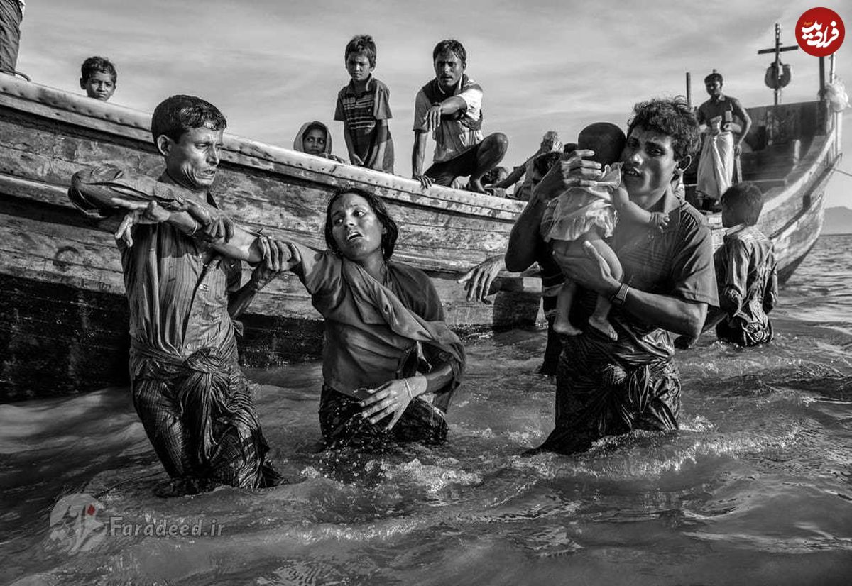 تصاویر/ فاجعه پناهجویان روهینگیا
