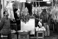 سفر به ایران قدیم؛ گوشت گاو جای گوشت گوسفند را در سفره ایرانی گرفت! 