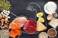 پروتئین مورد نیاز روزانه در افراد مختلف چقدر است؟
