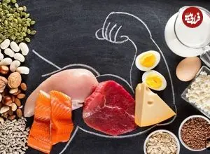 پروتئین مورد نیاز روزانه در افراد مختلف چقدر است؟