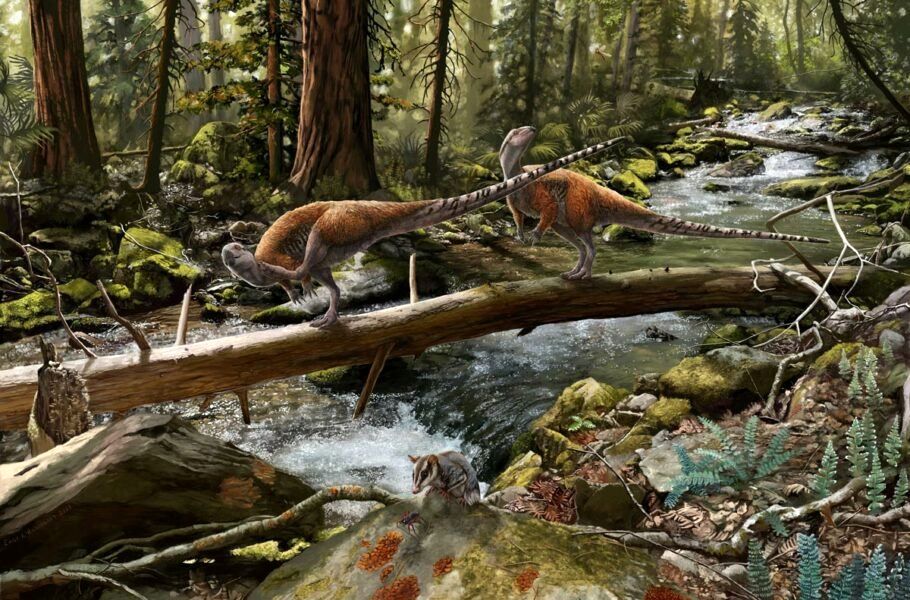  کشف گونه جدیدی از دایناسورها با اندازه‌ای شبیه مرغ‌ در انگلیس