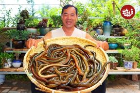 ببینید| غذای روستایی در چین؛ کباب مارماهی و سبزیجات