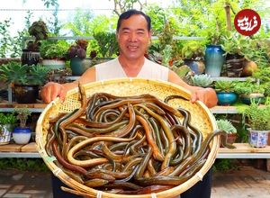 ببینید| غذای روستایی در چین؛ کباب مارماهی و سبزیجات