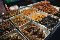 (ویدئو) تبلیغات عجیب تلویزیون‌های غربی برای خوردن حشرات!