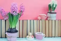 ۶ کتاب که با خواندن آن‌ها سبک زندگی شما تغییر خواهد کرد