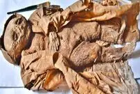 کشف راز مرگِ یک نوزادِ مومیایی مرموز در اتریش