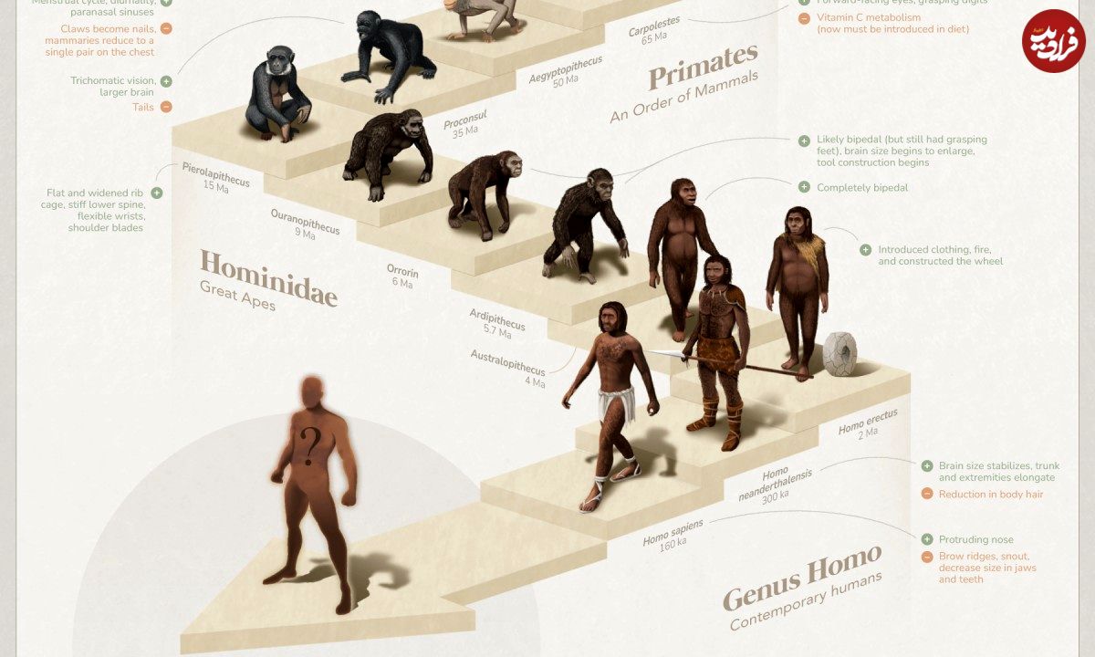 (تصاویر) مسیر ۴ میلیارد ساله تکامل انسان روی زمین