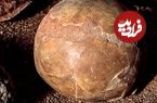 عکس؛ مایع داخل این تخم‌مرغ ۱۷۰۰ ساله‌ هنوز سالم است!
