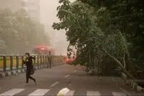 وزش باد شدید در ۵ استان