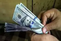 قیمت دلار امروز شنبه 5 اردیبهشت 1405