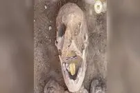(عکس) کشف مومیایی‌های عجیب با زبان طلایی در مصر