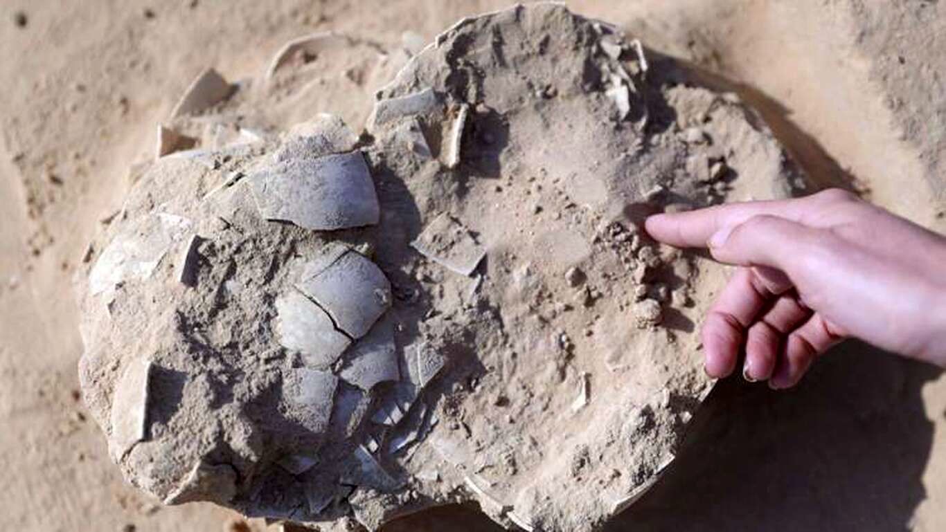 کشف تخم‌های ۴ هزار ساله شترمرغ در یک اردوگاه باستانی