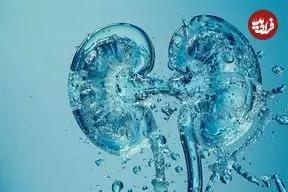 ۳ آسیب جدی کم‌آبی بدن به کلیه‌ها