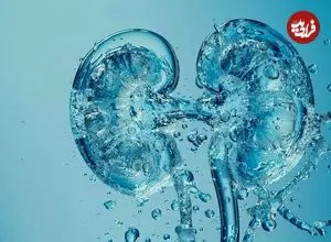 ۳ آسیب جدی کم‌آبی بدن به کلیه‌ها