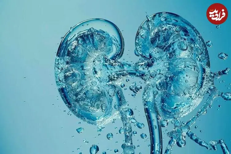 ۳ آسیب جدی کم‌آبی بدن به کلیه‌ها
