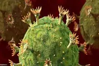 زادگاه HIV کدام شهر است؟