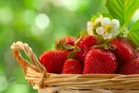 خواص شگفت انگیز توت فرنگی