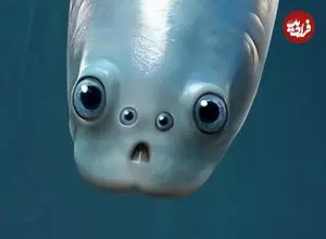 کشف جدید دانشمندان: قدیمی‌ترین نیاکان مهره‌داران چهار چشم داشتند