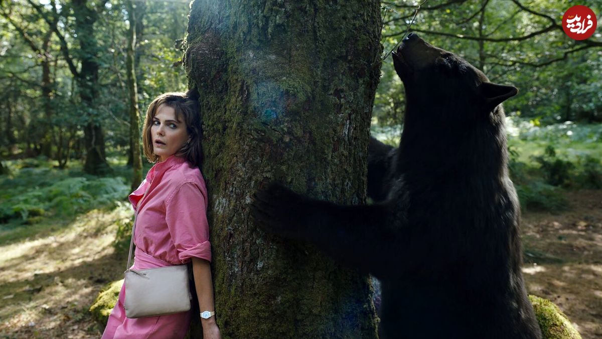 فیلم «خرس کوکائینی»؛ طنز و هیجان در ماجرای یک خرس دیوانه!