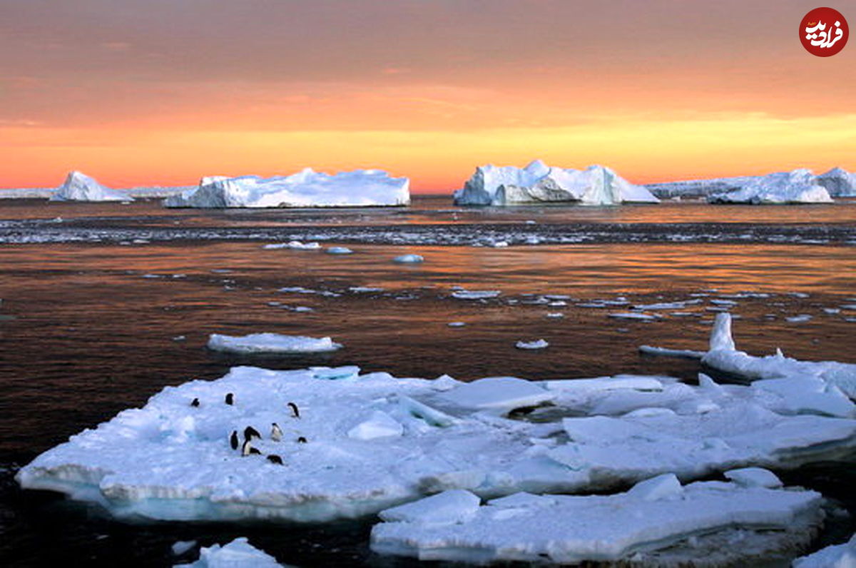 کشف جزیره ناشناخته در قطب جنوب