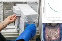 کشف عجیب دانشمندان؛ نجات بشر از انقراض با کمک مدفوع!