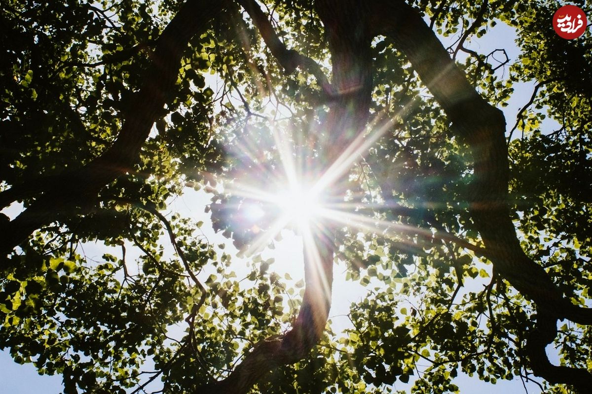 ۵ فایدۀ نور آفتاب برای سلامتی که باید بدانید