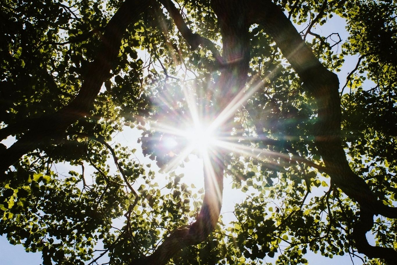 ۵ فایدۀ نور آفتاب برای سلامتی که باید بدانید